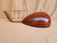 1575 Apricot